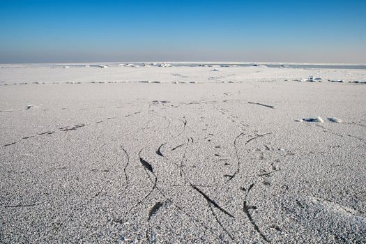 Frozen Baltic sea in a suny winter day