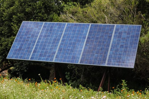 Solar panel in front of trees generating green energy