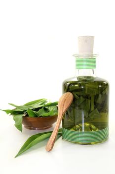 a bottle garlic tincture on a white background