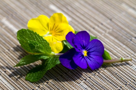 Mint with purple and yellow pansie on a textured mat