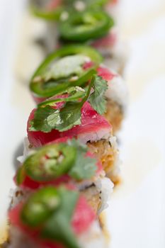 Sushi with tuna ,cilantro and Jalapeno peppers