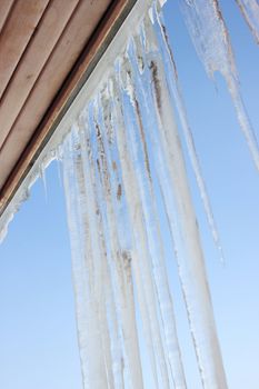 Icicles on the eaves of the building