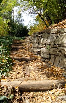 Autumn landscape: road in the Tbilisi botanic garden