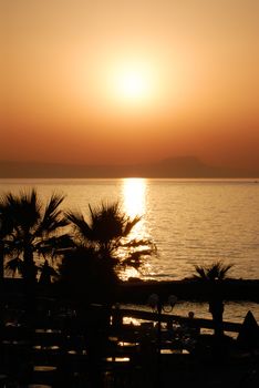 Sunset and palms on the shore