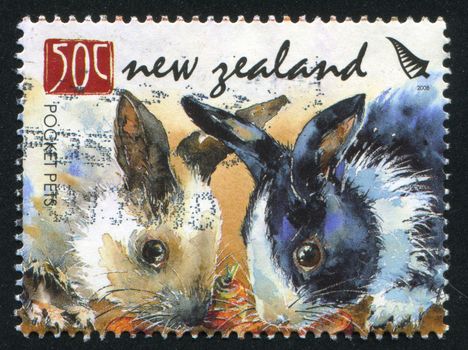 NEW ZEALAND - CIRCA 2008: stamp printed by New Zealand, shows Pocket Pets, Rabbits, circa 2008