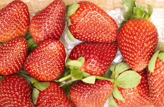 Fresh strawberry. Close-up colorful photo