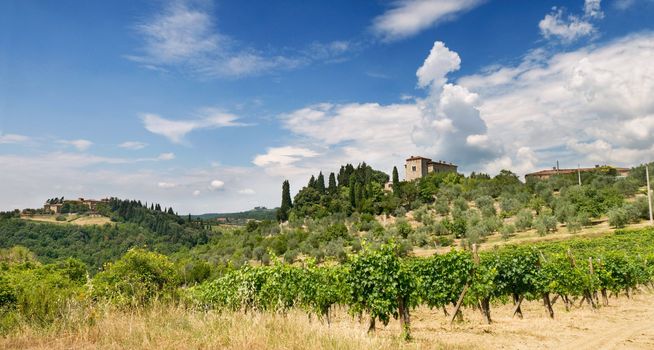 Tuscany Villa in Umbria, Italy, surrounded by wine and a summer landscape 