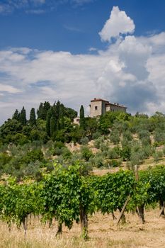 Tuscany Villa in Tuscany, Italy, surrounded by wine and a summer landscape