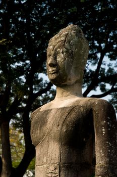 Buddha staue resting under a tree in Aytthaya. Ayutthaya city is the capital of Ayutthaya province in Thailand. Its historical park is a UNESCO world heritage.