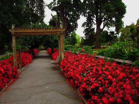 A photograph of a flower garden located at a public park.