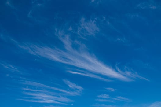 Feather clouds in a blue sky, ideal as a wallpaper or background picture