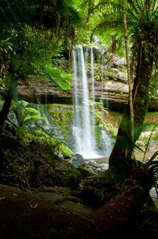 The beautiful waterfall in forest, spring, long exposure, Russell falls Mount Field National Park, in Tasmania Australia , austraila, Mt