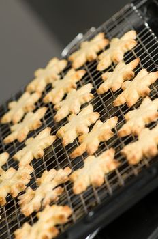 Ready backed star shape cookies on on a rack