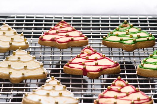 Decorated tree shape christmas cookies on the backing tray