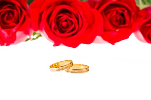 Red roses and golden wedding rings over white