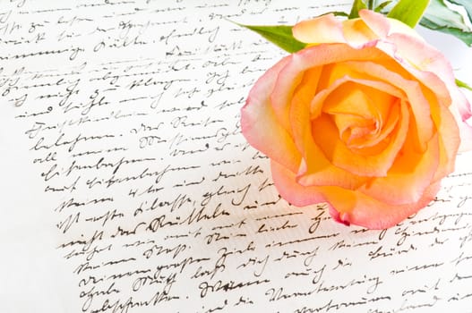 Red yellow rose over a hand written love letter