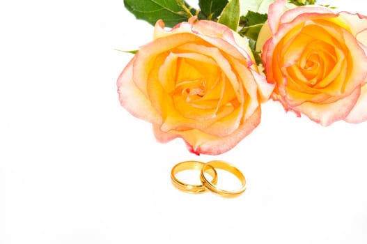 Red yellow roses and golden wedding rings over white