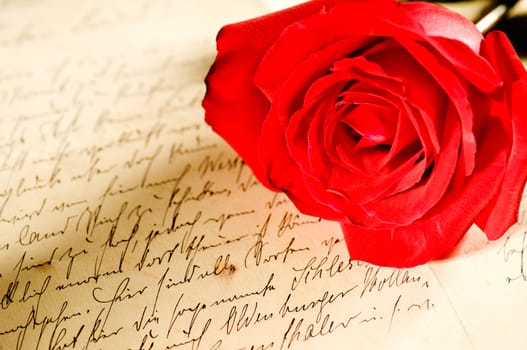 Red rose over a hand written love letter