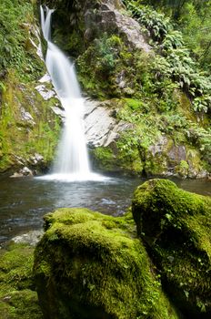 Dorothy Falls, Lake Kaniere, South Island, New Zealand