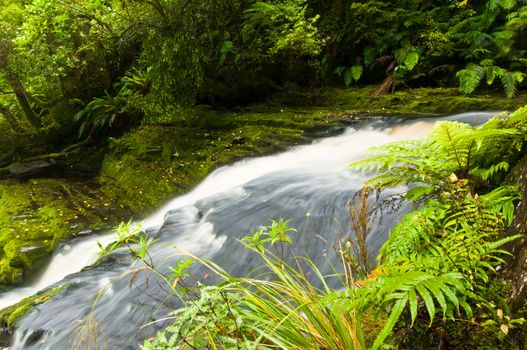 Lower part of Mac Lean Falls in the Catlins of South New Zealand