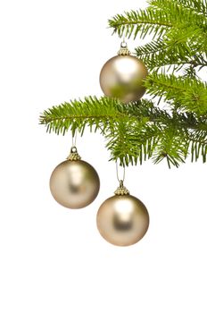 Three golden decoration balls in Christmas tree branch with negative space