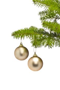 Two golden decoration balls in Christmas tree branch with negative space