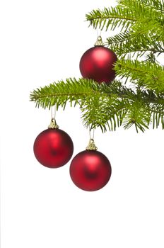 Three red decoration balls in Christmas tree branch with negative space