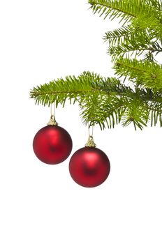 Two red decoration balls in Christmas tree branch with negative space