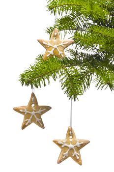 Tree star shape cookies as Christmas tree decoration, over white