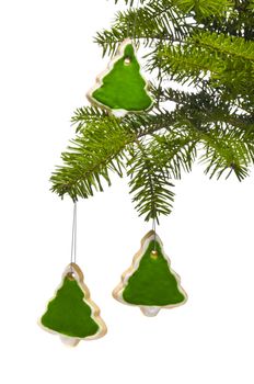 Tree tree shape cookies as Christmas tree decoration, over white