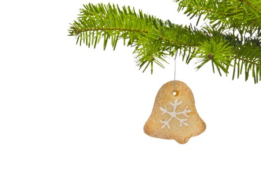 Branch of a Christmas tree decorated with cookie, over white