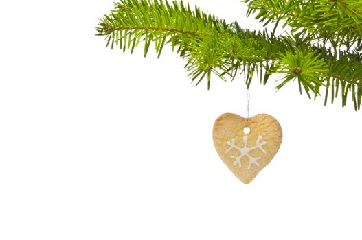 Branch of a Christmas tree decorated with cookie, over white