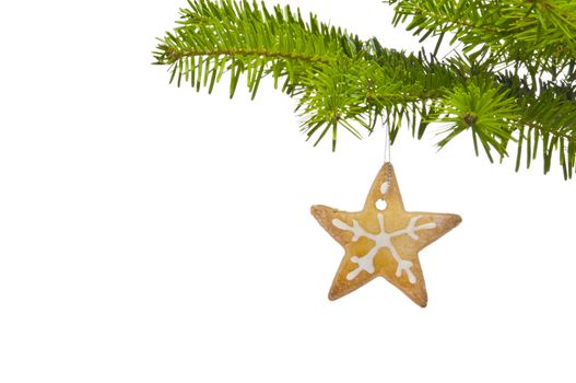 Branch of a Christmas tree decorated with cookie, over white