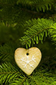 Heart shape short bread cookie in Christmas tree