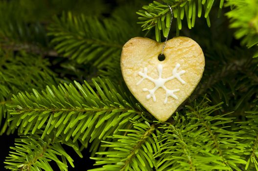 Heart shape short bread cookie in Christmas tree