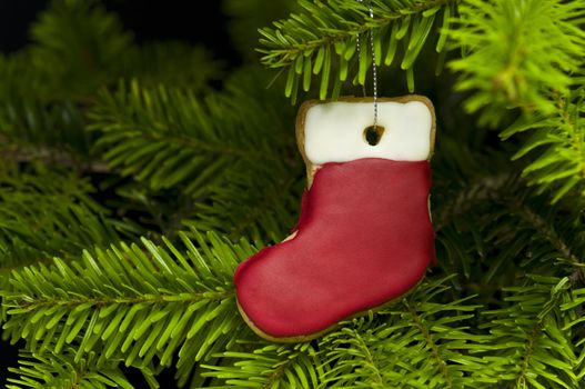 Red white present sock shape short bread cookie in Christmas tree