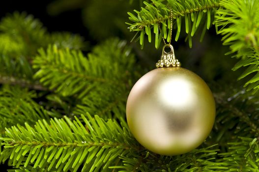 Ball shape Christmas decoration in real tree