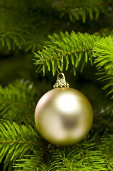 Ball shape Christmas decoration in real tree