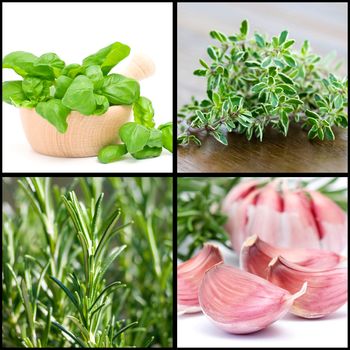 a collage of four pictures of herbs and garlic