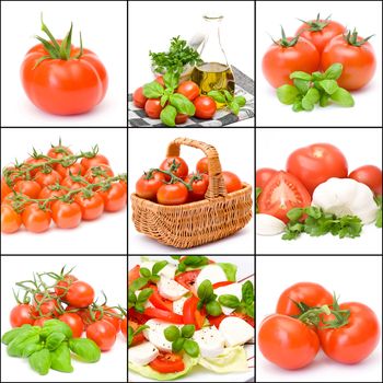 a collage of nine pictures of tomatoes