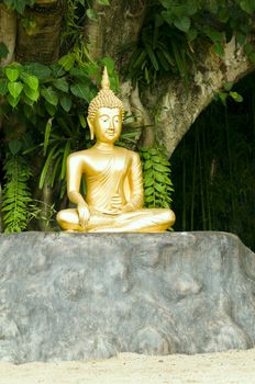 Golden Buddha statue under green tree in meditative posture