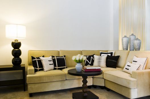 Contemporary sofa seating area beautiful interior design