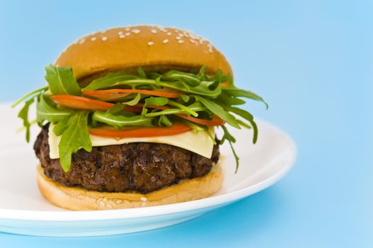 Hamburger with cheese and mixed tomato and salad and no onion