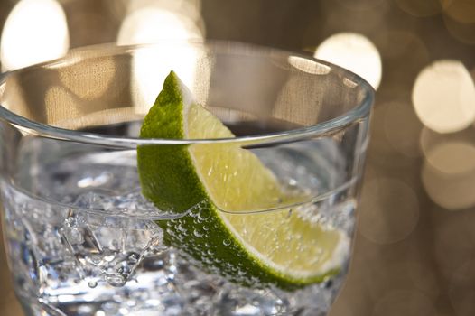 Gin Tonic Cocktail in front of a brown gold background