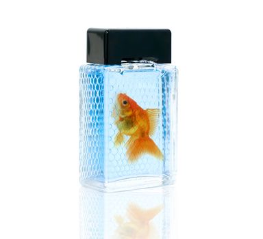perfume bottle with gold fish isolated on white