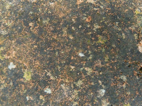 old mossy surface as a background