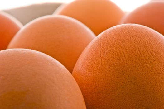 studio photography clean brown raw eggs