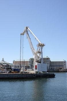 White Crane at Cape Town Harbor
