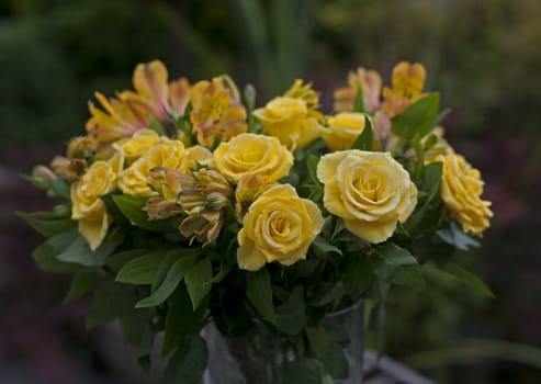 yellow roses and green leaves in a vase