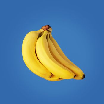 Bunch of yellow bananas on blue background.